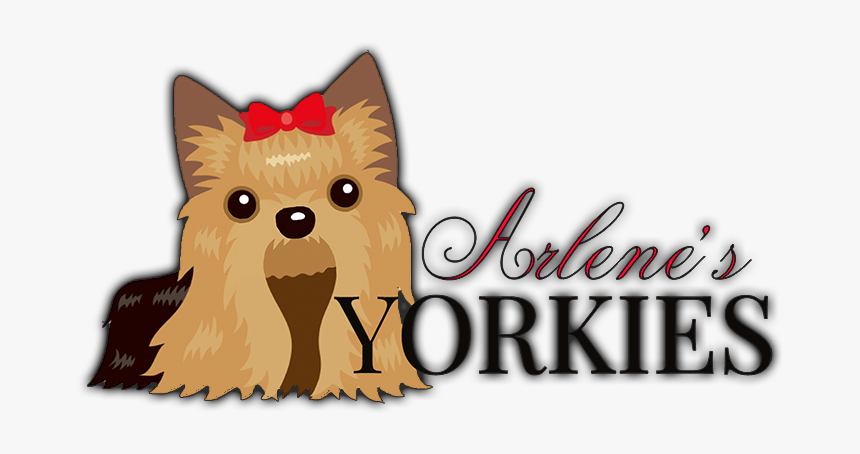 Yorkshire Terrier, HD Png Download, Free Download