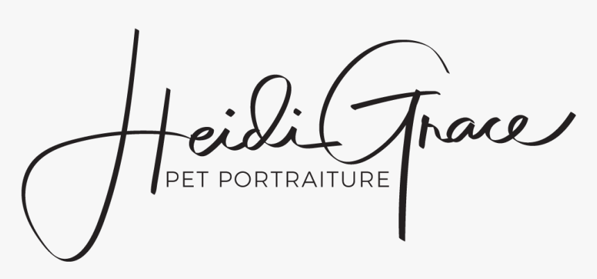 Heidi Grace Signature - Calligraphy, HD Png Download, Free Download