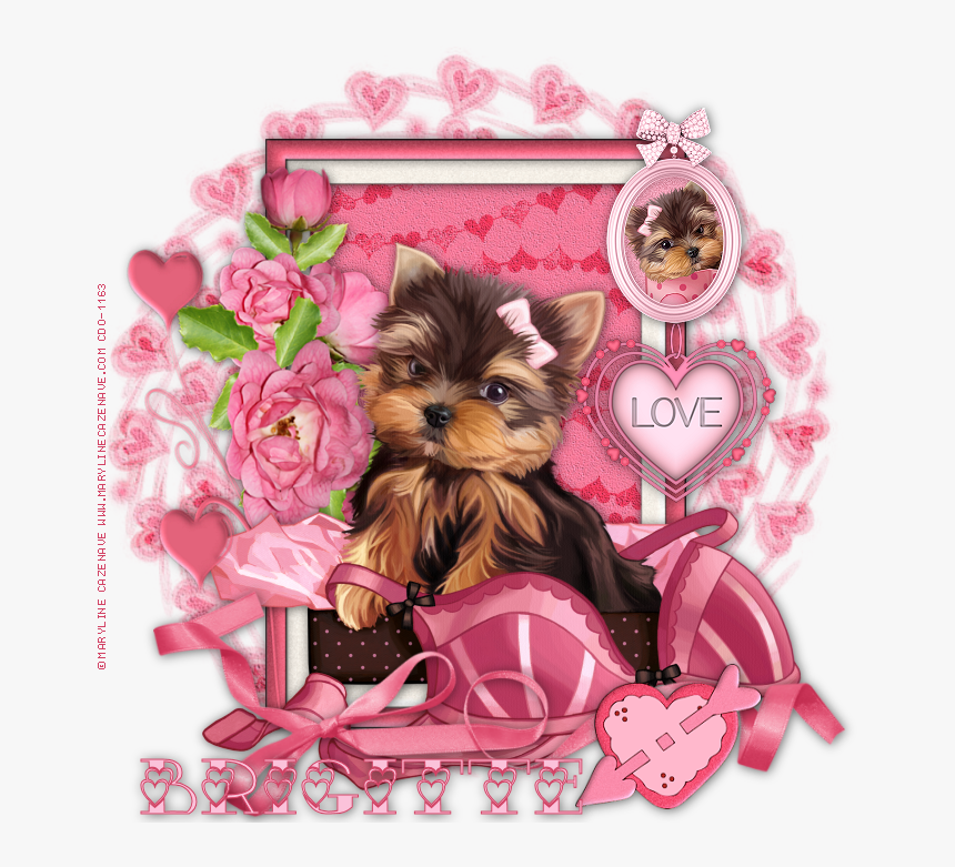 Transparent Yorkie Clipart - Yorkshire Terrier, HD Png Download, Free Download