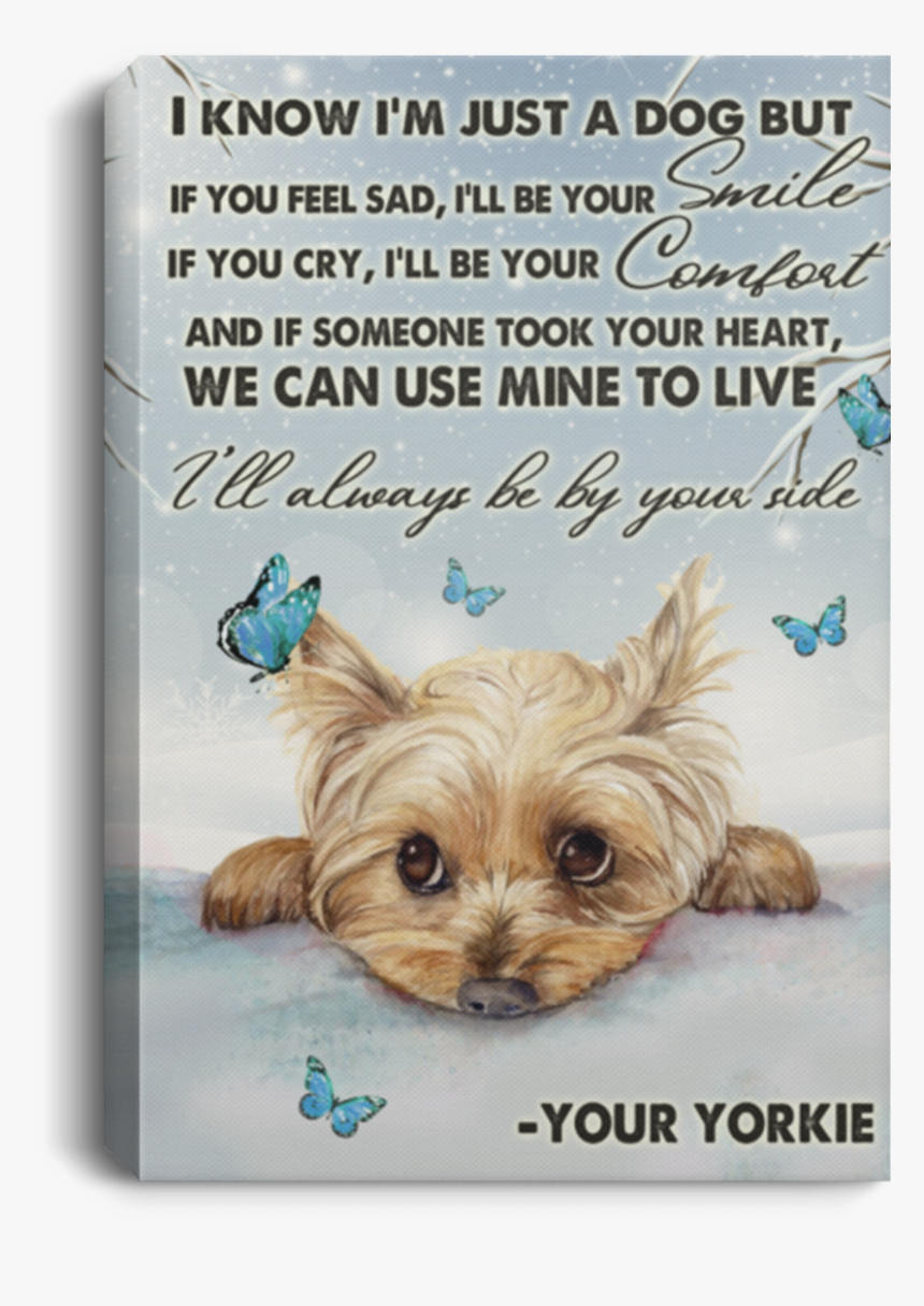 Yorkshire Terrier, HD Png Download, Free Download