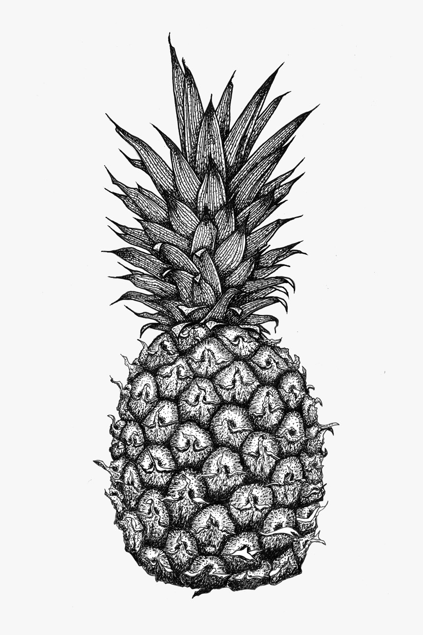 Transparent Pineapple Clipart Black And White - Pineapple Mandala Drawing, HD Png Download, Free Download