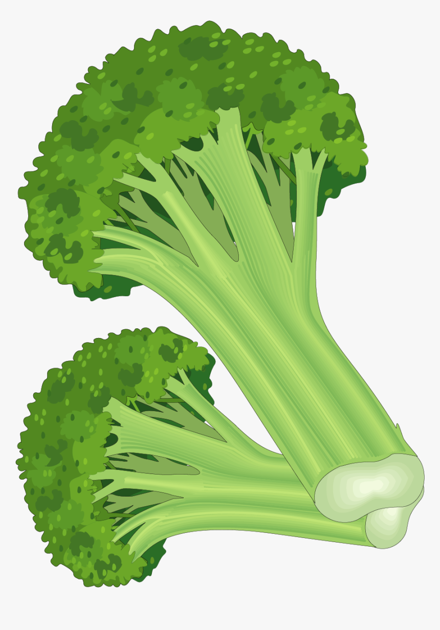 Leaf Vegetable Fruit Carrot Clip Art - Green Fruit And Vegetables Clipart, HD Png Download, Free Download