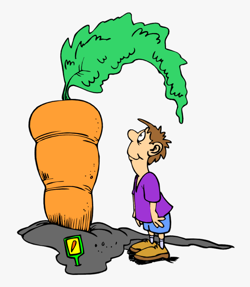 Clipart Seeds Carrot - Bigger Clipart, HD Png Download, Free Download