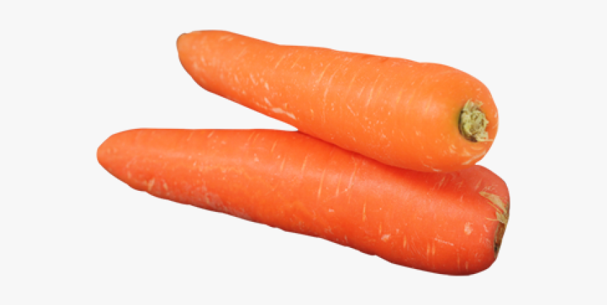 Carrot Clipart Orange Fruit Vegetable - Fruit Carrot, HD Png Download, Free Download