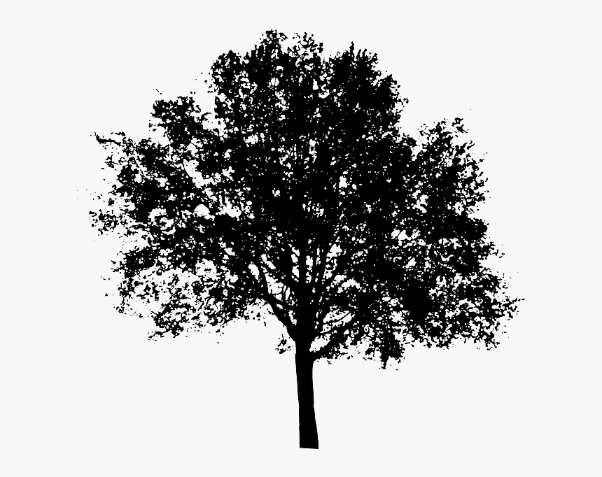 Black And White Trees Png - Tree Silhouette Transparent Background, Png Download, Free Download