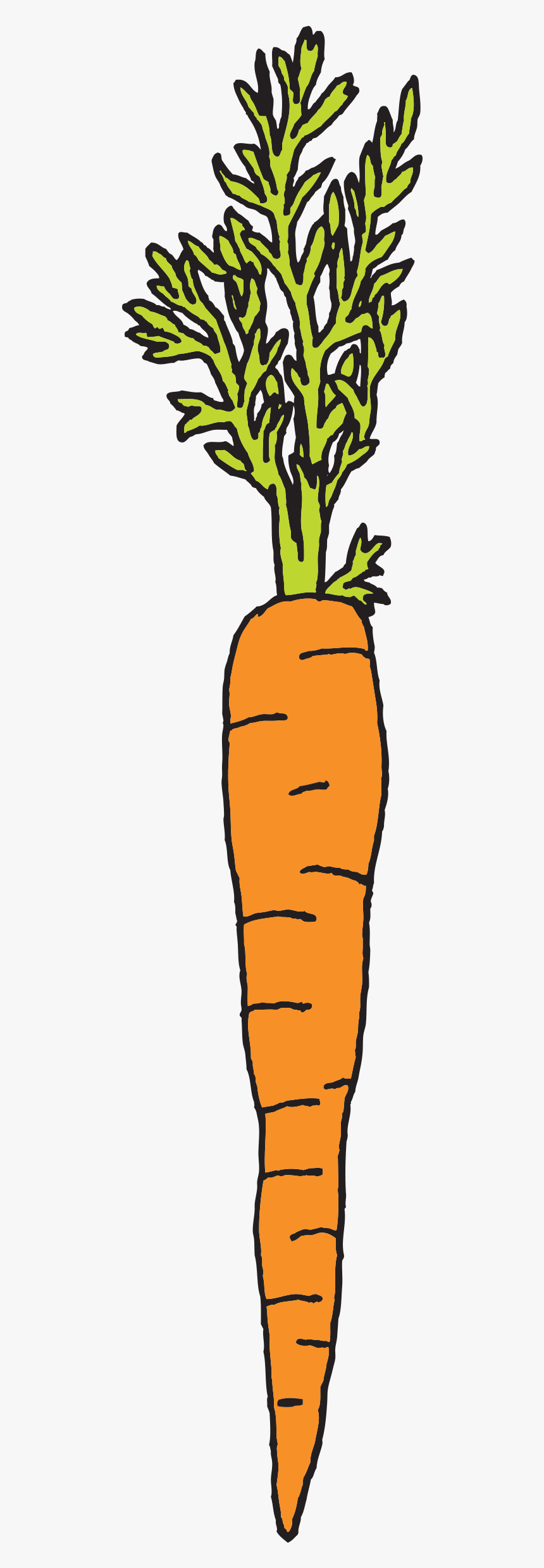 Clip Art Rysunek Pinterest Carrots Watercolor - Carrot, HD Png Download, Free Download