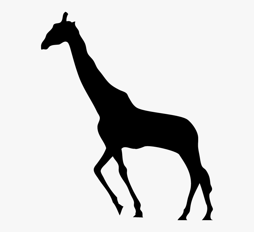 Giraffe Png Download - Animal Silhouette Giraffe, Transparent Png, Free Download