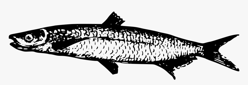 Lake Tanganyika Fish Drawing Walleye - Lake Tanganyika, HD Png Download, Free Download