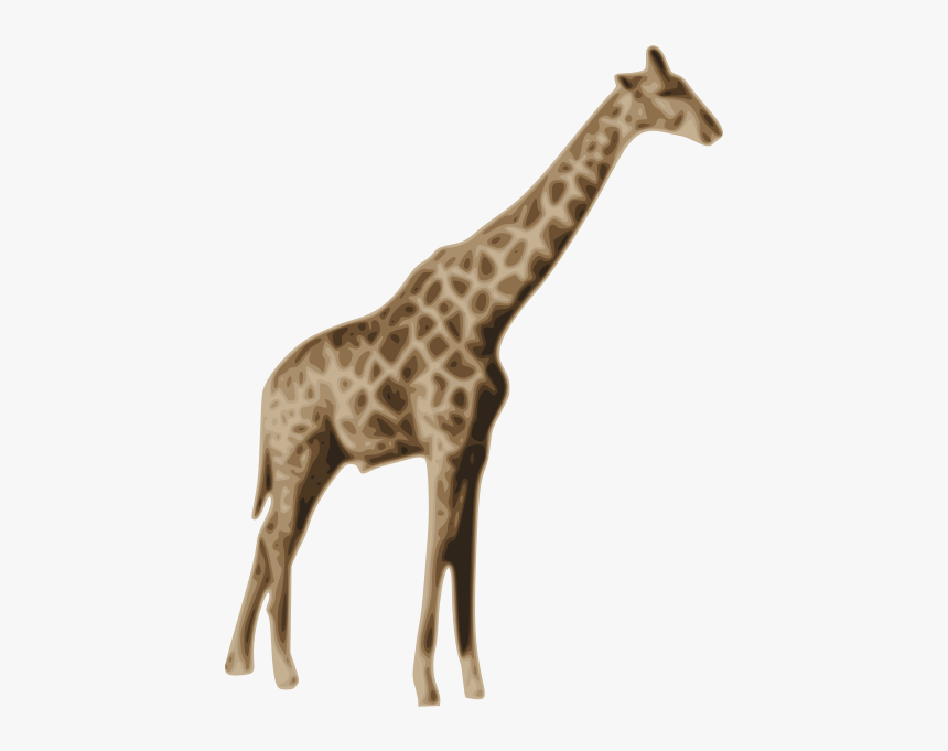 Giraffe Transparent Background, HD Png Download, Free Download