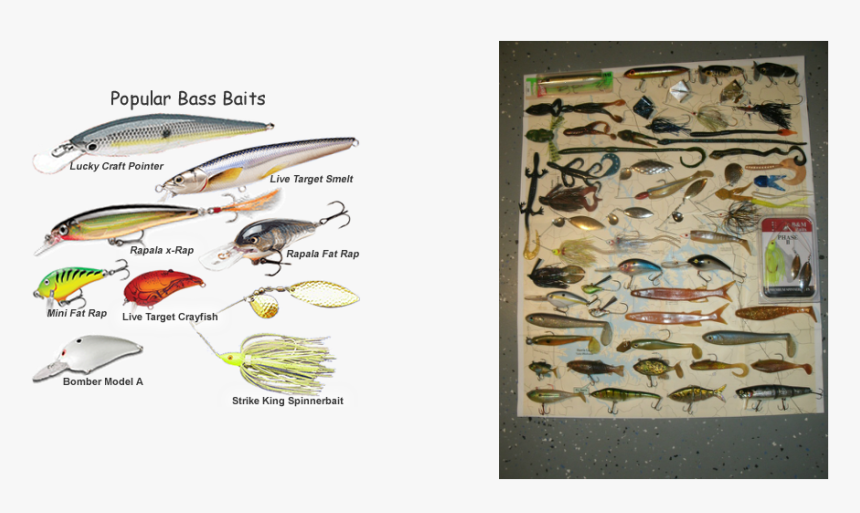 Picture - Largemouth Bass Lures For Summer, HD Png Download, Free Download