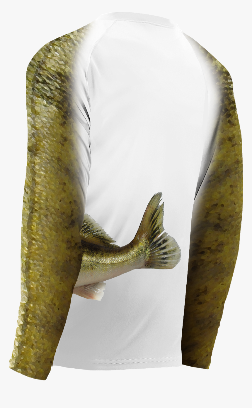 Bass, HD Png Download, Free Download