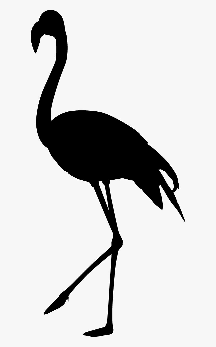 Crane, HD Png Download, Free Download