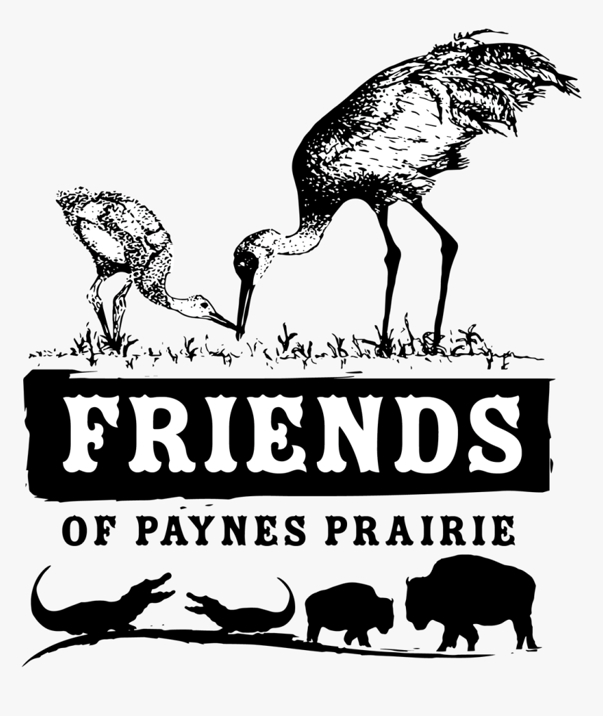 Friends Of Paynes Prairie - Amazing Friends, HD Png Download, Free Download