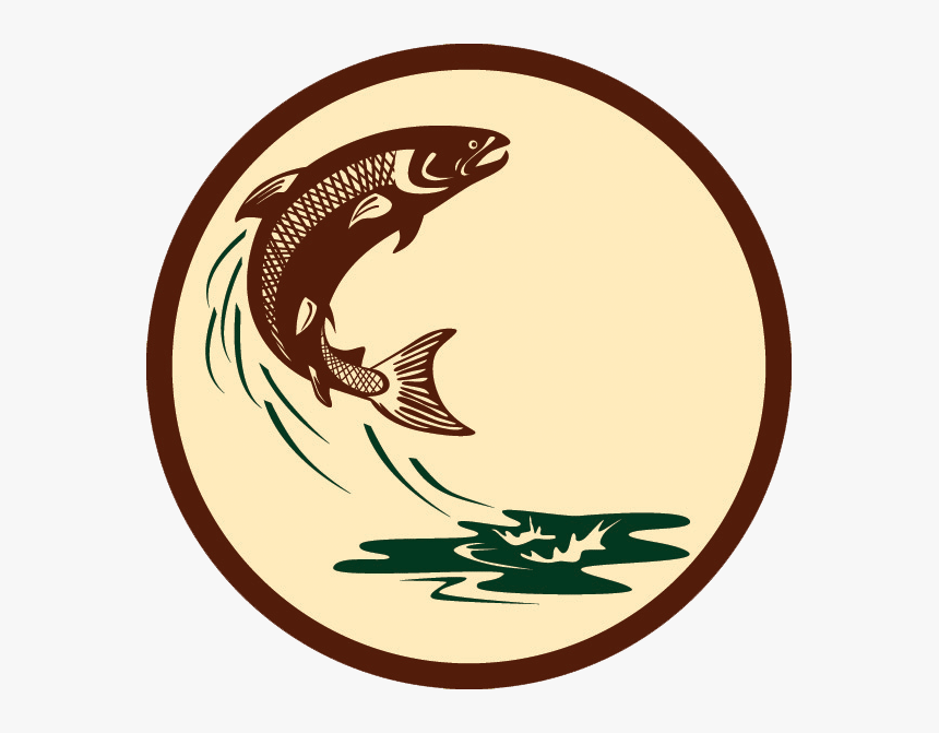 A Fly-fishing Celebration - Salmon Leaping Out Of Water, HD Png Download, Free Download