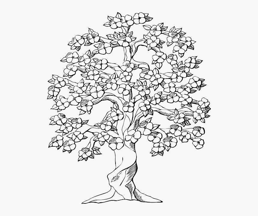 Draw A Flower Tree, HD Png Download, Free Download