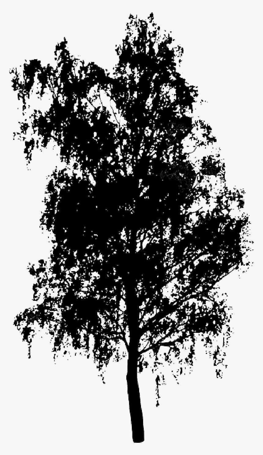Vector Graphics Clip Art Portable Network Graphics - Transparent Background Tree Silhouette, HD Png Download, Free Download