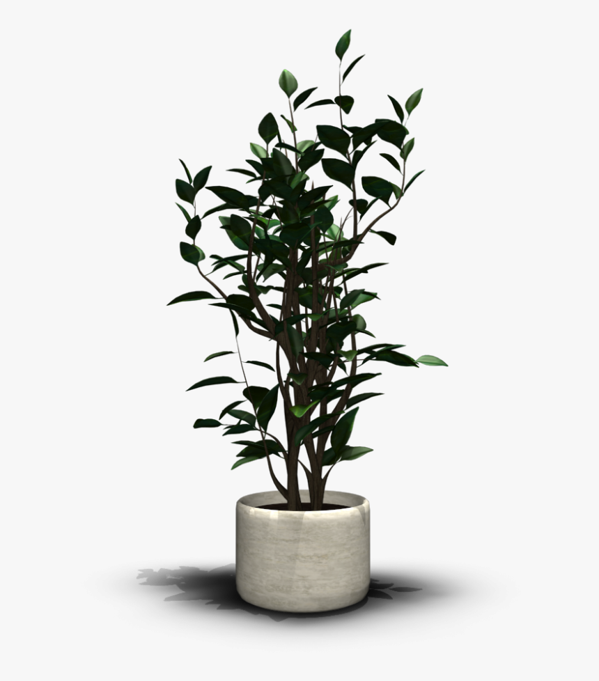 Plant,plant - Transparent Indoor Plant Png, Png Download, Free Download