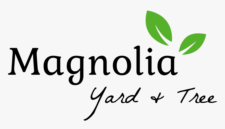 Magnolia Yard & Trees - Calligraphy, HD Png Download, Free Download