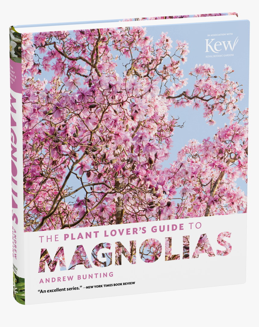 Cover, HD Png Download, Free Download