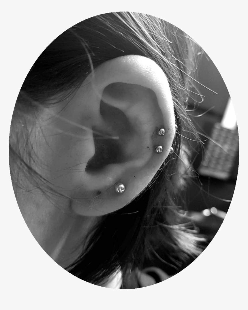 Double Helix Piercing - Earrings, HD Png Download, Free Download