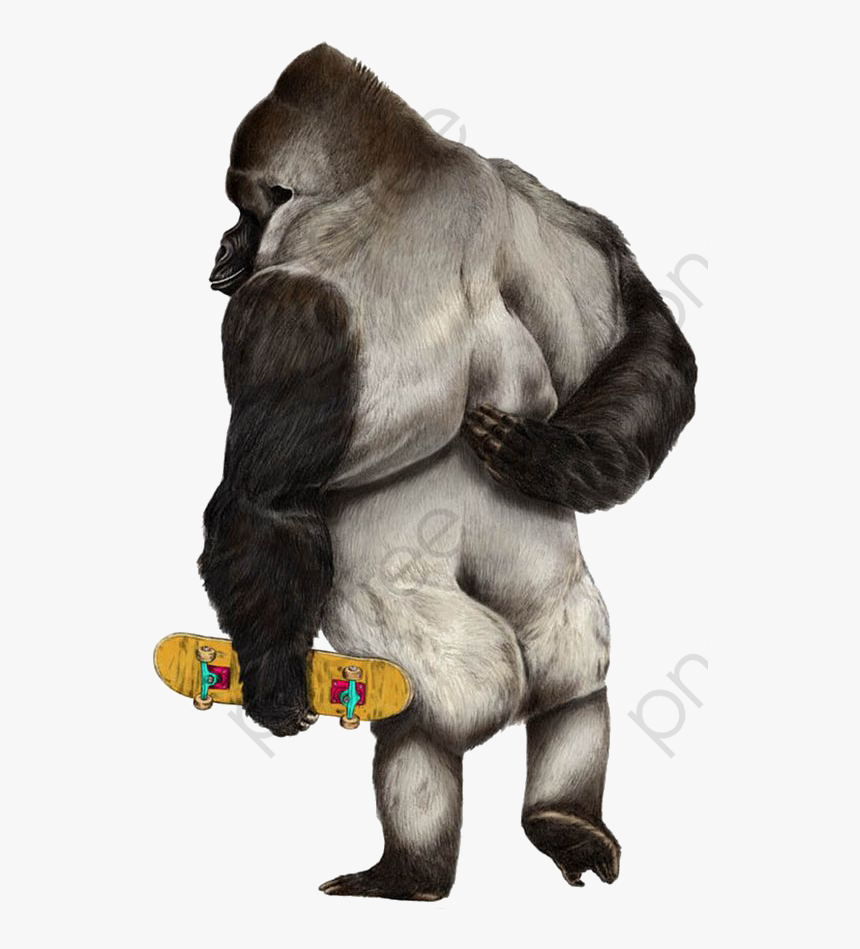 Gorilla Clipart Realistic - Animals Skate, HD Png Download, Free Download