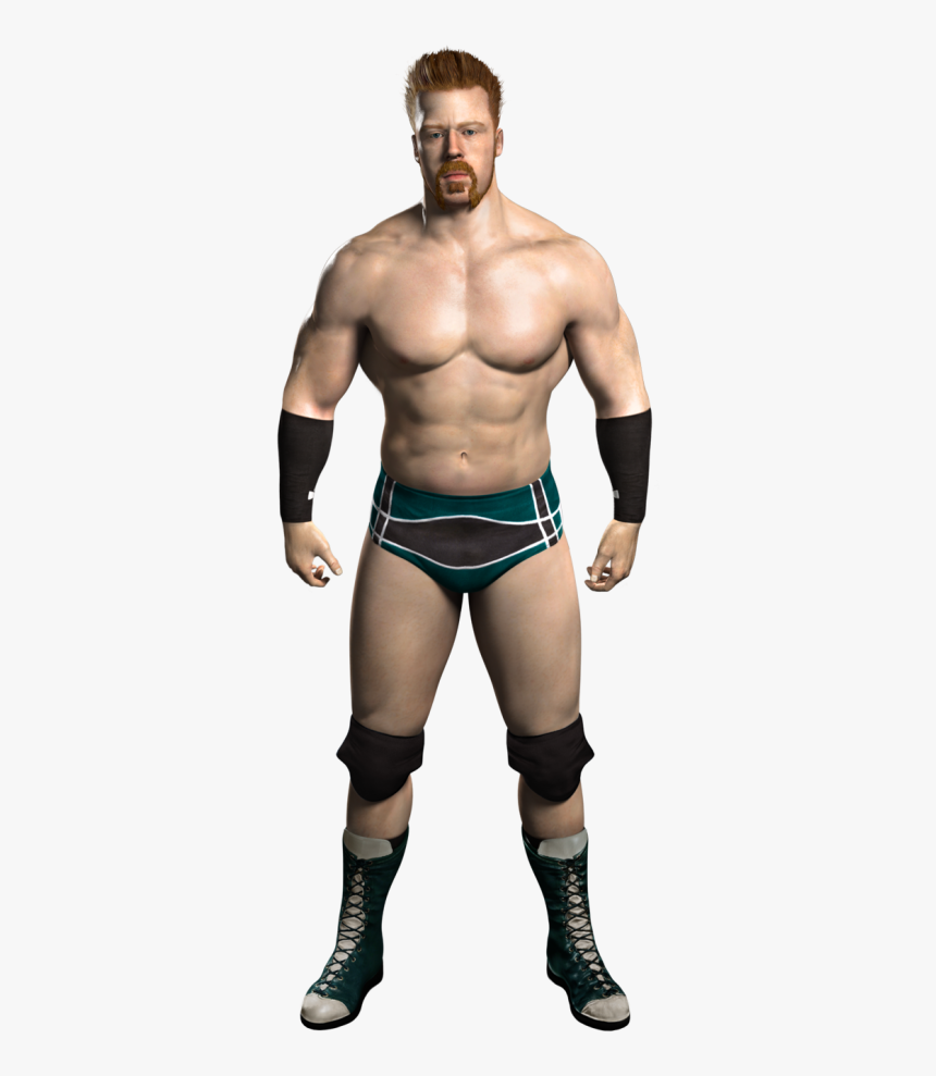 Sheamus Svr 2011, HD Png Download, Free Download