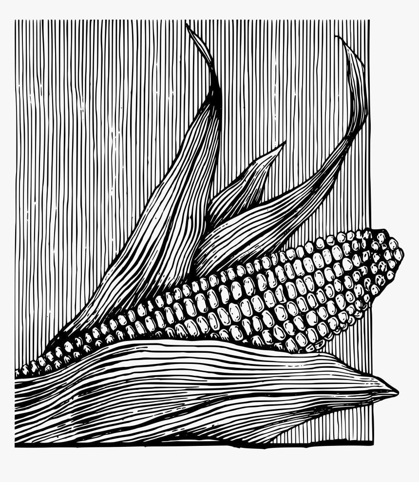 Corn On The Cob Clip Arts - Corn Graphics Black And White, HD Png Download, Free Download