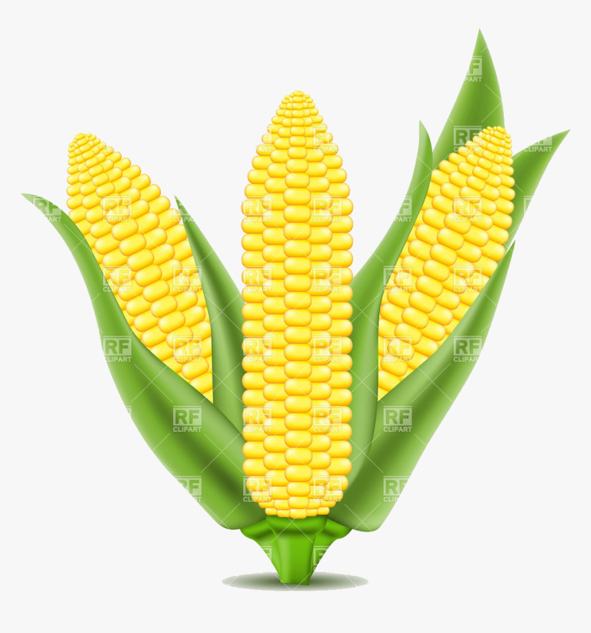 Corn On The Cob Clipart Transparent Png - Corn Vector, Png Download, Free Download