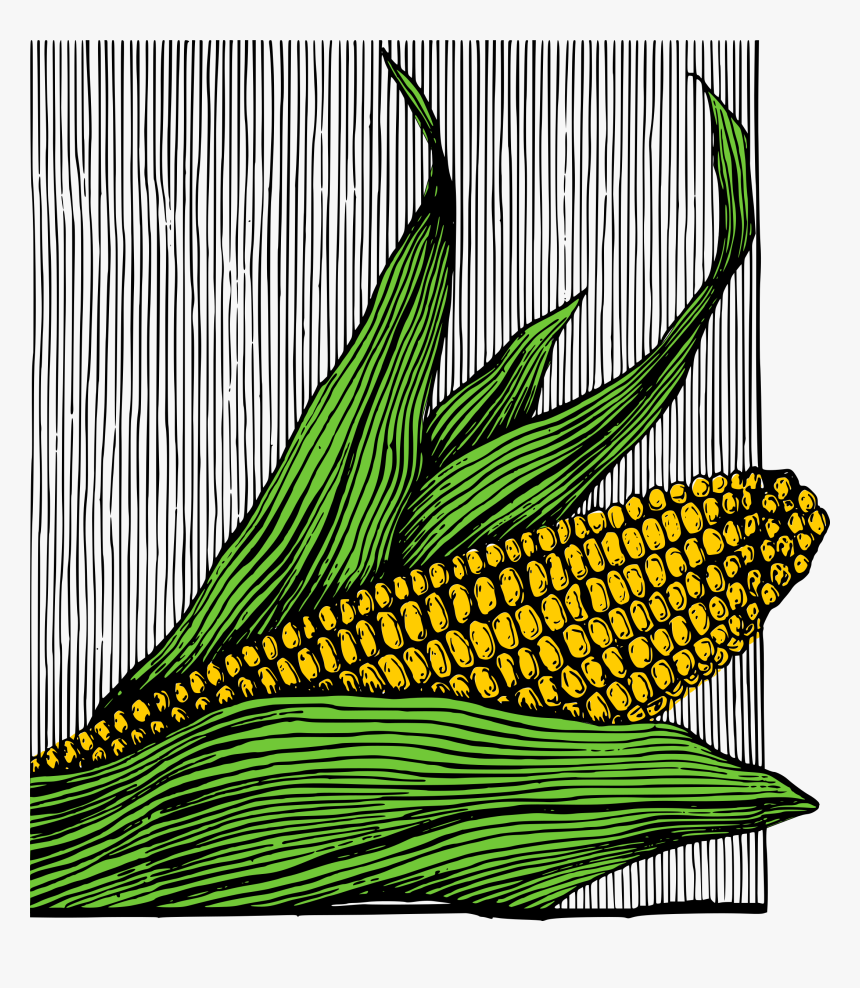 Corn On The Cob - Png Maiz Ilustracion, Transparent Png, Free Download