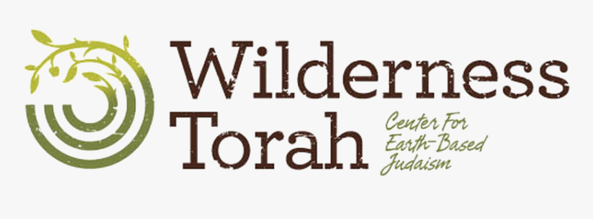 Torah, HD Png Download, Free Download