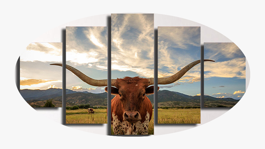 Transparent Straight Face Png - Longhorn Steer, Png Download, Free Download