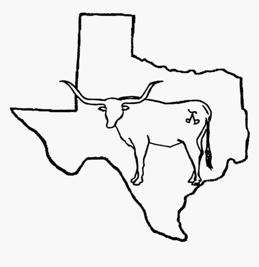 Texas Is So Big Meme, HD Png Download, Free Download