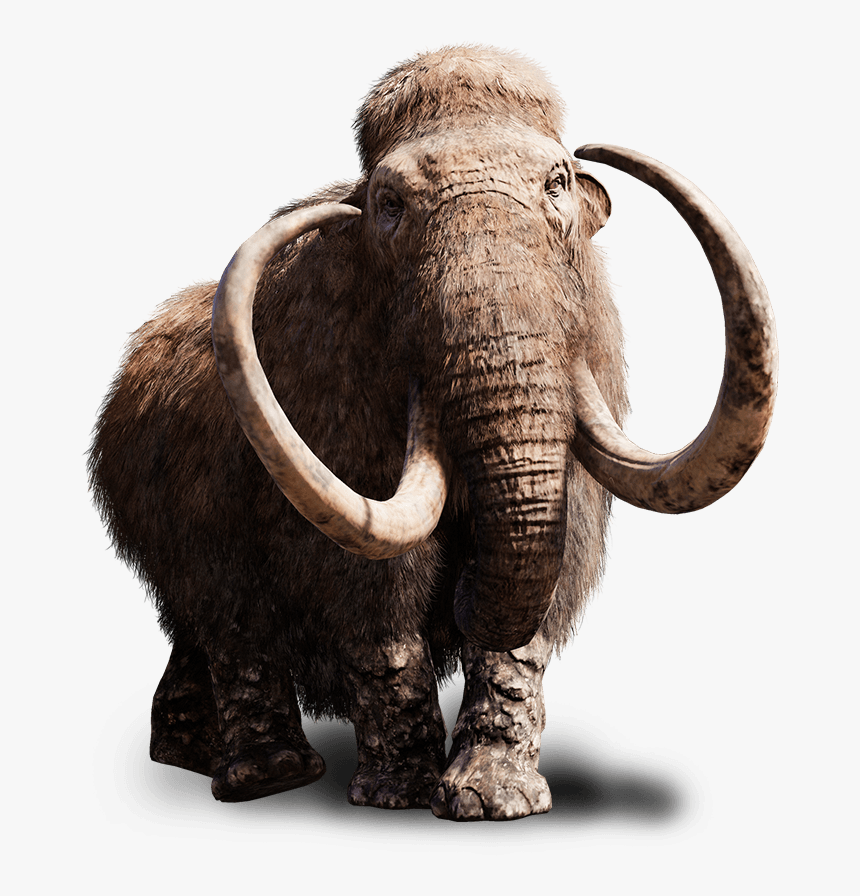 Far Cry Wiki - Walking Woolly Mammoth Toy, HD Png Download, Free Download