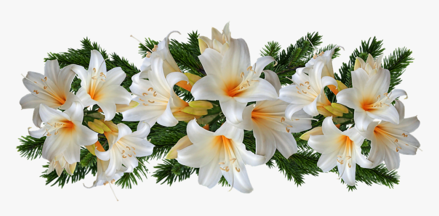 Lilies, Belladonna, White, Flowers, Arrangement - Lirios Png, Transparent Png, Free Download