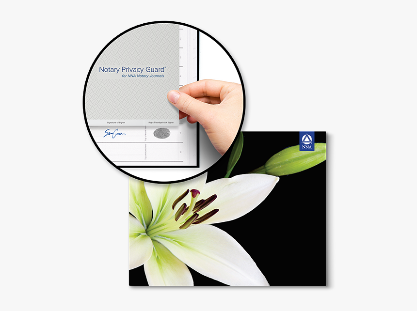 Deluxe Journal - White Lily - Giglio Bianco, HD Png Download, Free Download