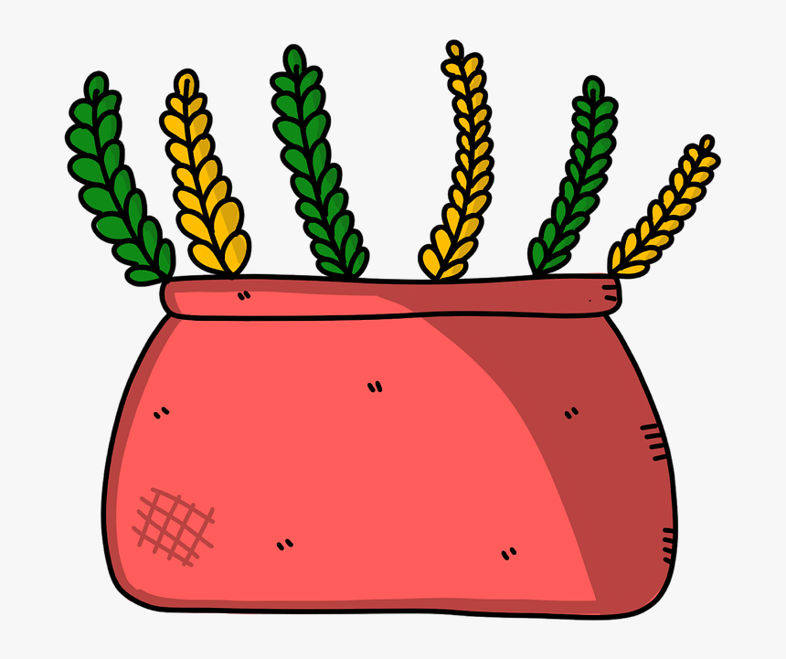 Plant, Wheat, Agriculture, Grain, Field, Cereals, HD Png Download, Free Download