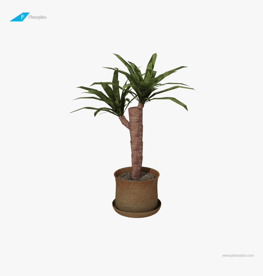 Transparent Yucca Png - Houseplant, Png Download, Free Download