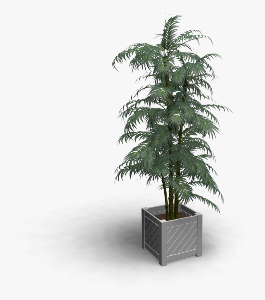 Bonsai , Png Download - Bonsai, Transparent Png, Free Download