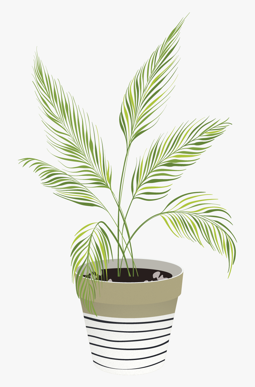 Vector Indoor Plants - Illustration Of Indoor Plant Png, Transparent Png, Free Download