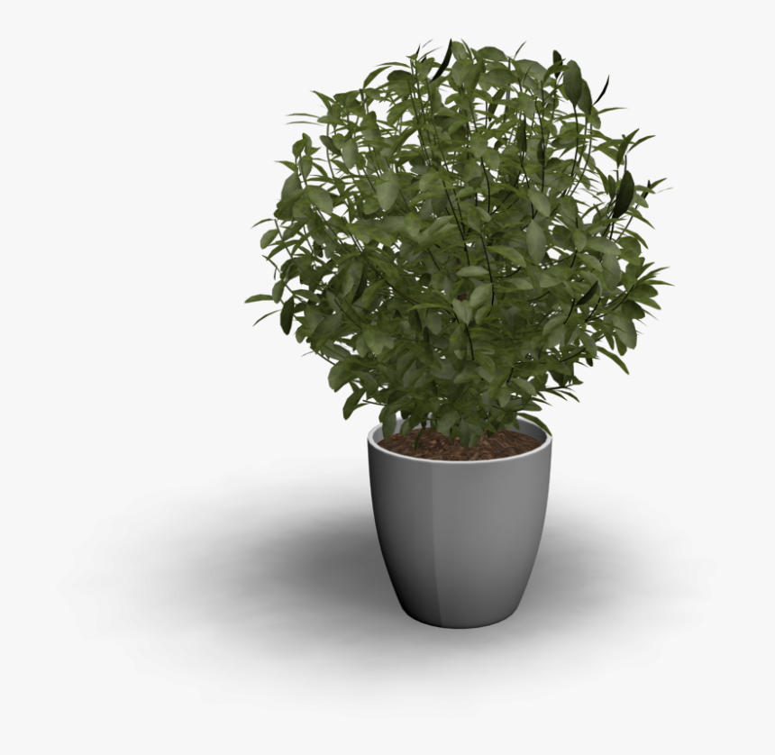 Plant 3d Png, Transparent Png, Free Download