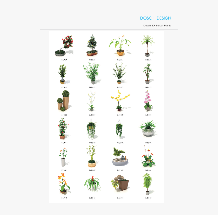 Types Of Indoor Plants, HD Png Download, Free Download