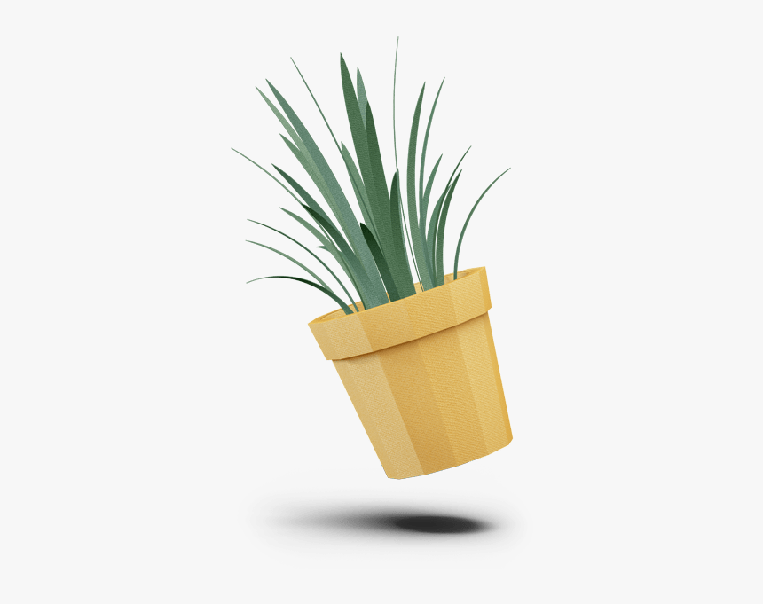 Agave, HD Png Download, Free Download