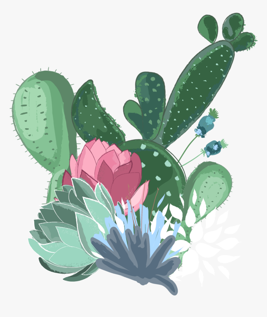 Baby Llama Sketch - Watercolor Cactus Image Png, Transparent Png, Free Download