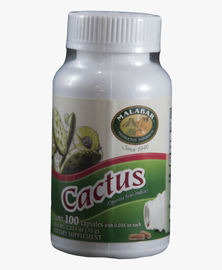 Cactus Nopal Pills - Lizard, HD Png Download, Free Download