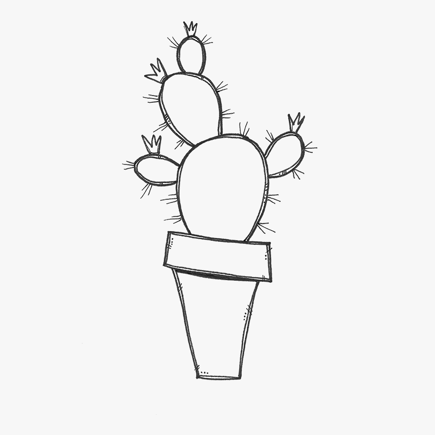 Transparent Nopal Png - Sketch, Png Download, Free Download