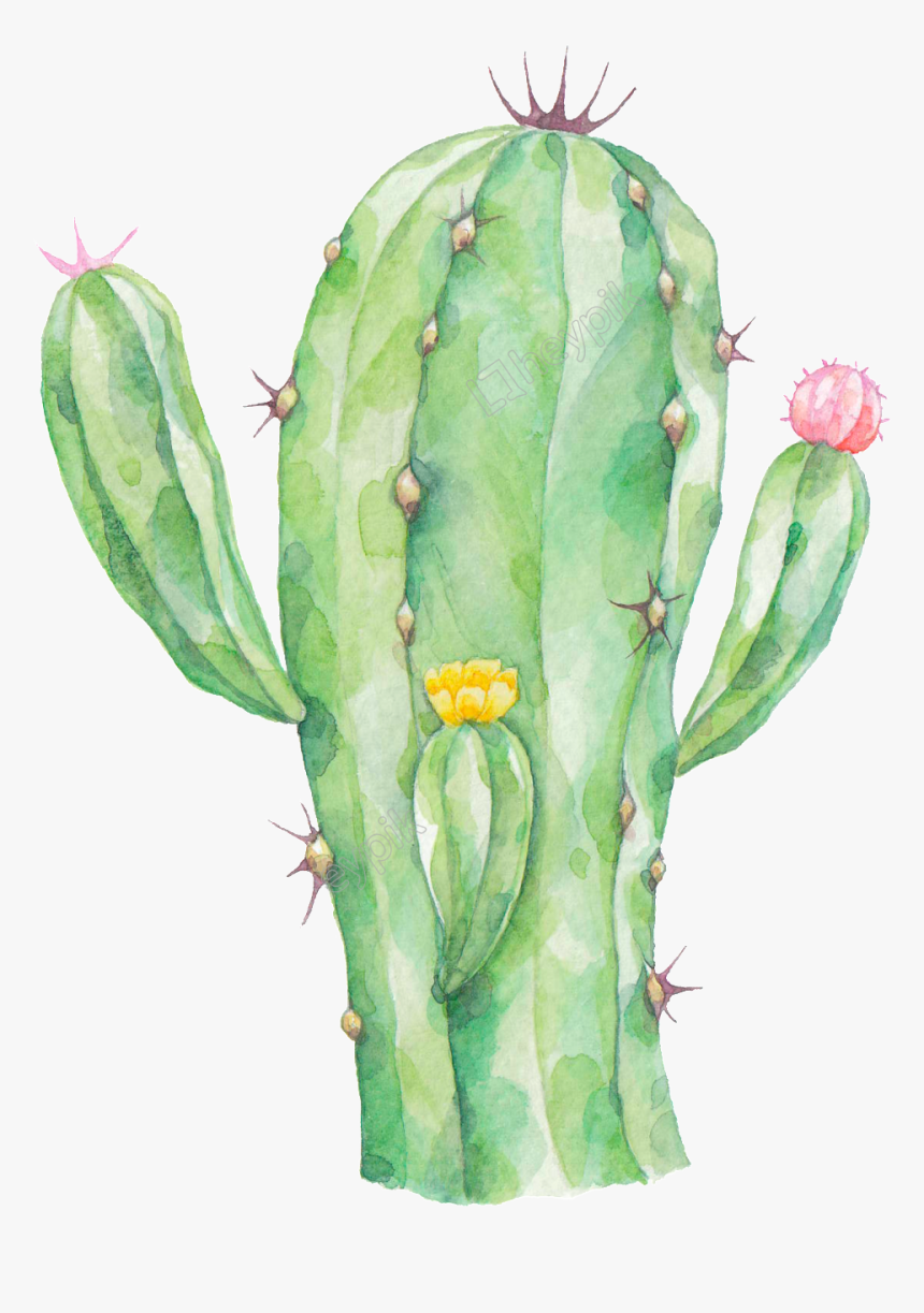 Cactus Png - Watercolor Transparent Cactus Clipart, Png Download, Free Download