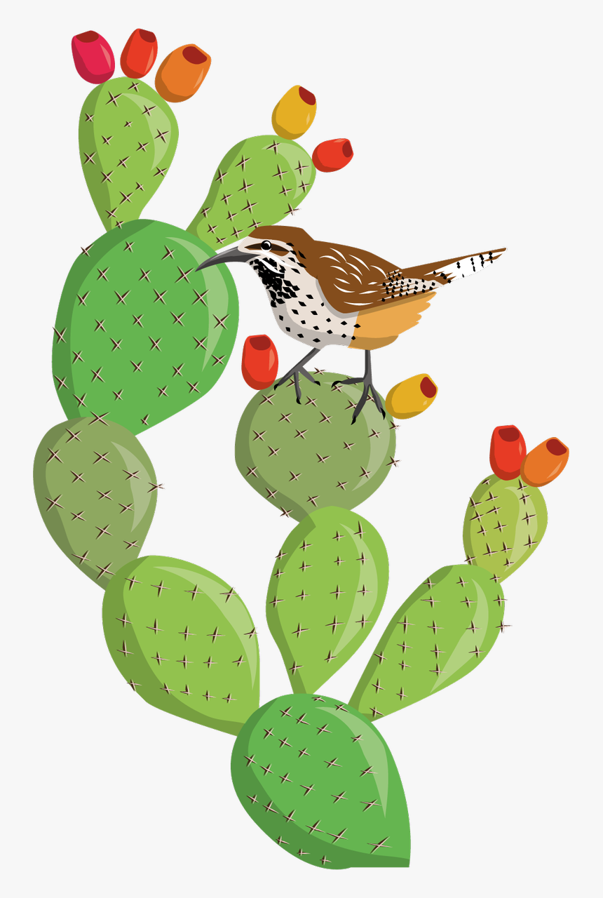 Cactus Clipart Prickly Pear - Prickly Pear Cactus Clipart, HD Png Download, Free Download