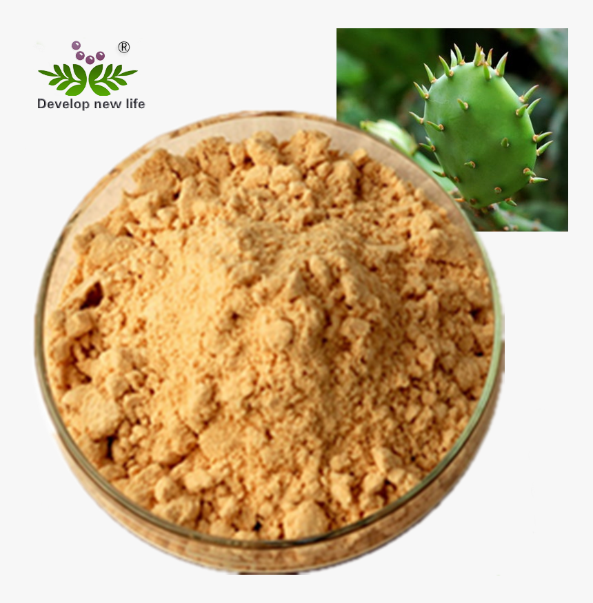 Natural Nopal Cactus Juice Powder Prickly Pears Extract - Cactus, HD Png Download, Free Download