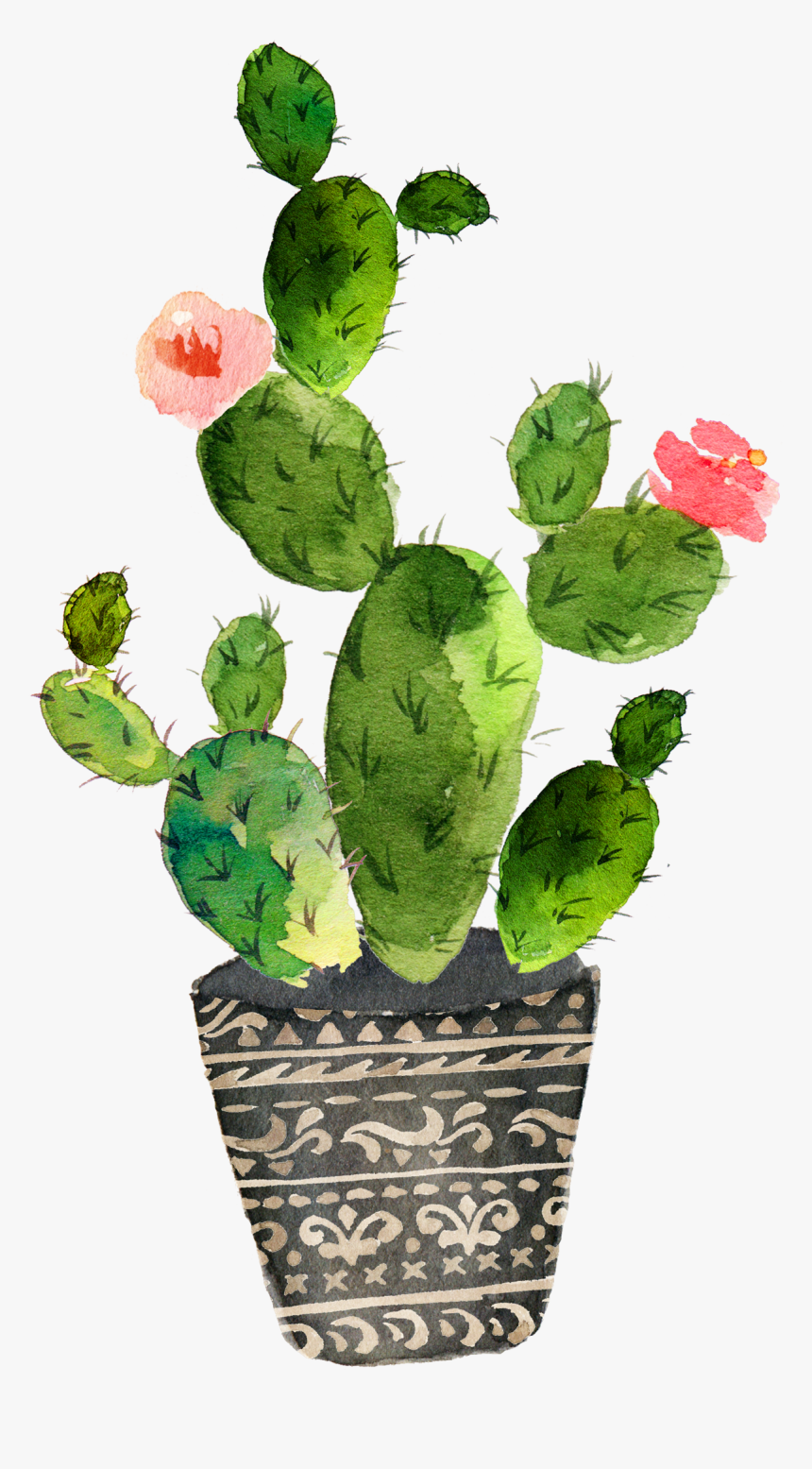 Watercolor Cactus Png - Cactus Watercolor Clip Art, Transparent Png, Free Download