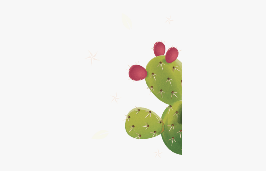 Eastern Prickly Pear, HD Png Download, Free Download